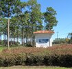 IMG_1585.JPG