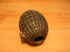 grenade 001.jpg