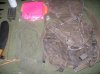 SOG Gear Part 2 007.jpg