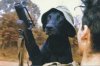 Austrailian%20Tracker%20Dog%20with%20M79.jpg