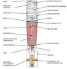 51mm ilum.jpg