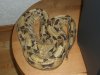 bitis gabonica gabonica.jpg