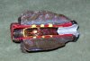 Section 2 inch 1a.jpg