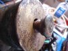 DSC05136.jpg