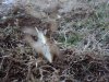 DSC00357.jpg