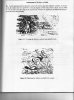 1944 Molotov Manual_0003.jpg