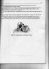 1944 Molotov Manual_0007.jpg