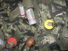 Tigers and mini grenades 063.jpg