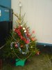 xmastreeDSC00071.jpg