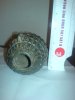 DSC00078.JPG