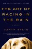 art-of-racing-in-the-rain.jpg