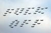 Harrier Fly By.jpg