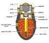 sectioned bellamy A.jpg