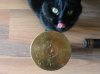 Ammo Cat.jpg Ammo Cat.jpg