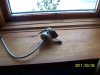 100_2171.jpg 100_2171.jpg