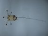 ICE-JV-179-1.JPG