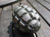 Relic F1 Grenade cleaned 3.jpg