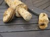 Stokes Mortar uncleaned 3.jpg Stokes Mortar uncleaned 3.jpg