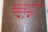 100_5081_with_text.jpg 100_5081_with_text.jpg
