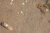 CNV00169.jpg
