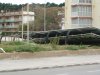 IMG_8739.jpg