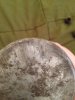 IMG_0040.jpg IMG_0040.jpg