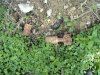 __DSC01115.jpg