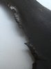 HPIM9817.jpg HPIM9817.jpg