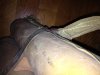 IMG_2028.jpg