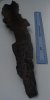 HPIM9857.jpg HPIM9857.jpg