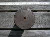 Shell head bottom.jpg Shell head bottom.jpg