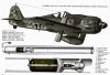 SG113.jpg