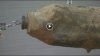 500 Lb Incendiary bomb.jpg