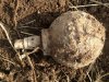 No 28 Grenade dug up2.jpg