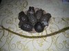 DSCN9725.jpg