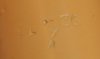 British - 2PDR HE Projectile date stamp.jpg British - 2PDR HE Projectile date stamp.jpg