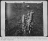 132517_98426503_086-Sarajevo-1944.jpg