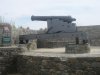 IMG_8335.jpg