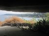 IMG_8338.jpg