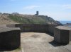IMG_7956.jpg