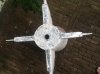 tail002.jpg