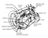 04-Mk-118 base fuze.JPG