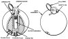 grenade_ABC-M25A1.jpg