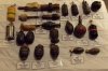 British Grenades.jpg British Grenades.jpg