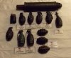 US Grenades.jpg US Grenades.jpg