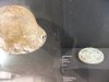DSCF8018.jpg