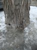 DSCF7979.jpg
