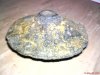 DSC00582.JPG