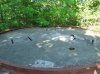 2015_05140012.jpg