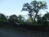 2015_05140017.jpg